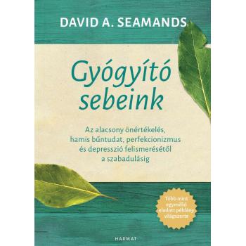 Gyógyító sebeink - David A. Seamands