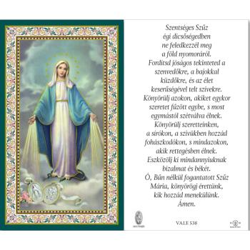 Aranyozott imakép - szentkép - Csodás Szűzanya